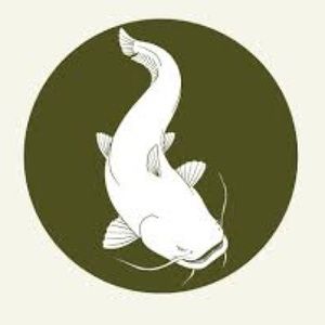 Meet your Posher, Henry